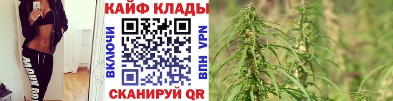 Купить закладку Кокаин  Конопля  Меф  Alpha-PVP  Codein  Гашиш  АМФ  Бакал