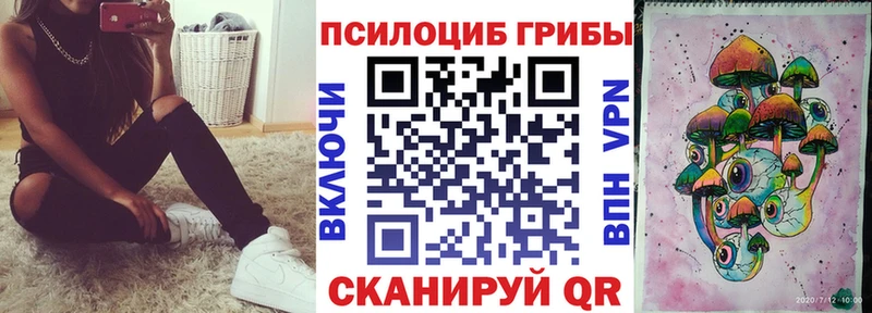 Купить  Бакал  Псилоцибиновые грибы прущие грибы 